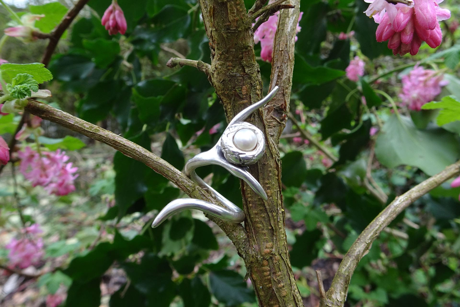 Photo d'une bague sur une branche, créée par Muriel Mansuy, créatrice de bijoux en argent.