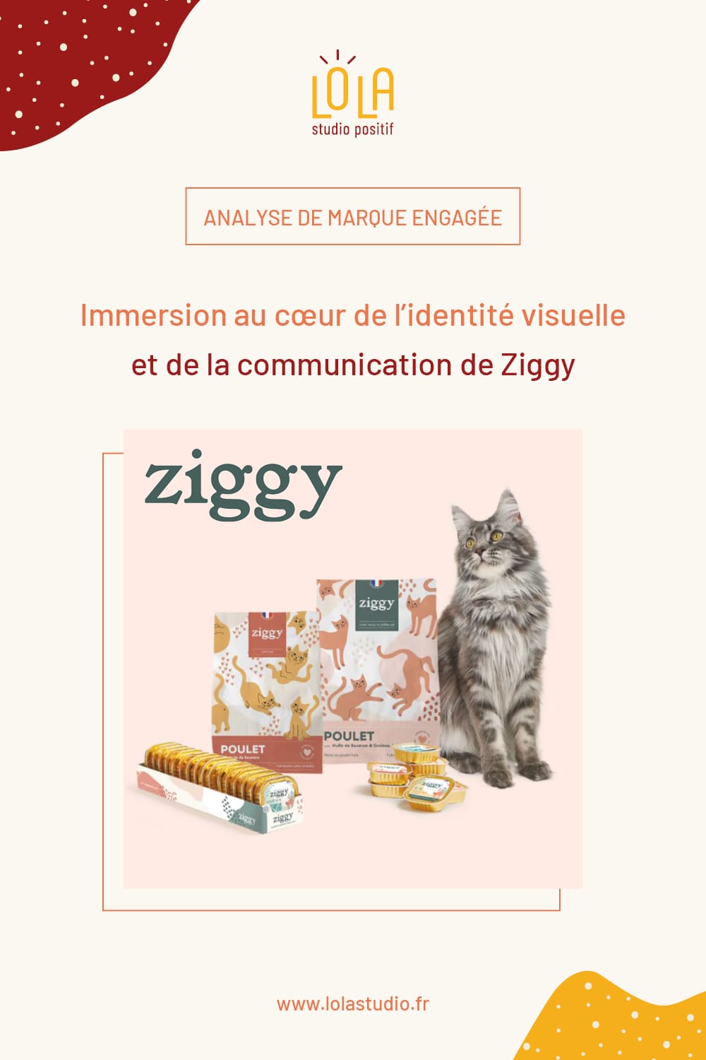 Ziggy  Alimentation saine, transparente et engagée pour chats